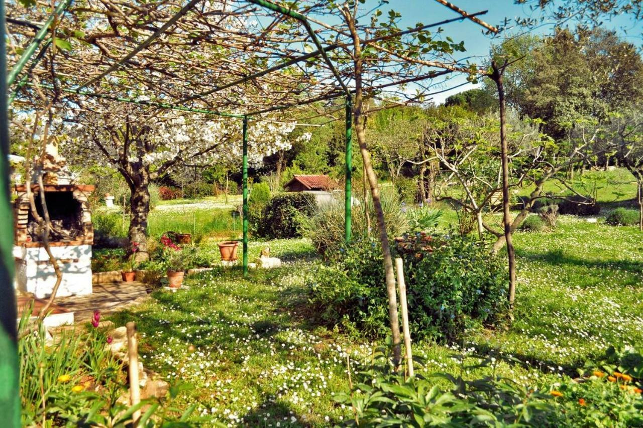 רוביני Apartment Rosa 2 מראה חיצוני תמונה